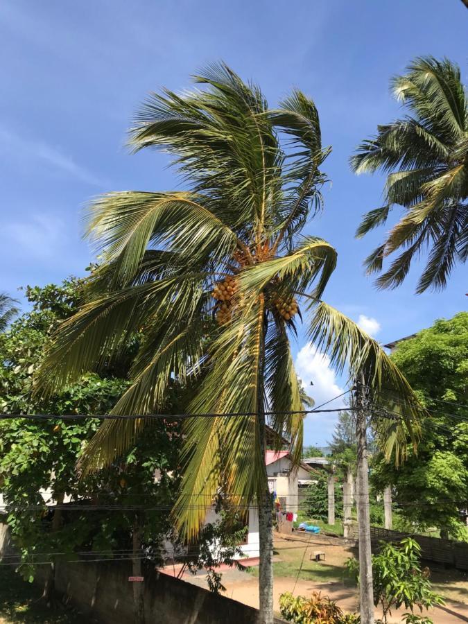 Wh Beach Resort Weligama Exteriör bild